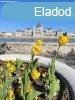 Elad laks Budapest, I. kerlet, 	Hatty utca