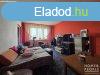 Elad panel a Vrtnl! - Szeged