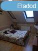 Elad 77 nm-es jszer llapot Tglalaks Szeged