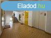 Elad panorms belvrosi 4 szobs laks, Kecskemt