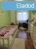 Elad 53 nm-es Feljtott Tglalaks Mosonmagyarvr