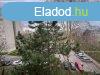 Oroszlnyon, a Npekbartsga utcban 2 szobs laks elad