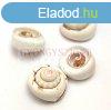 Kagyl - frt - 12-22 x 7-13 mm