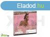 Wild and Free: Lovacska mints vonalas fzet - 4. osztlytl