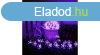 Napelemes fnyfzr, 50 LED, cseresznyefa virg design, lila