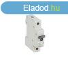 Legrand 419133 RX3 B6 6kA BIC 1 plus kismegszakt