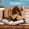 Termktancsads 40+20 perc 1.alkalom