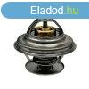 Termosztt Steyr 162000060702