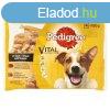 Pedigree Alutasakos 4 Pack Adult Marha+Nyl,Pulyka+Rpa 100g
