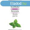 Vivamax Borsmenta illolaj 10 ml