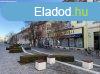 Kiad zlethelyisg Hdmezvsrhely, 	Kiad zlet a stl 