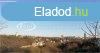 Elad ptsi telek Veszprm