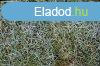 Elad Ipari telek Monor