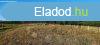 Ktcsn panorms mezgazdasgi terlet elad! - Ktcse