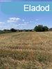 Balatonszabadi Zrtkert Elad