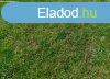 Elad Zrt kert Sgvron!