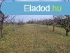 Elad ptsi telek Gyrjbart