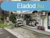 Elad 45 nm-es zlet Gyr