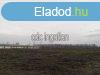Elad Telek, jhartyn