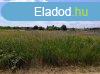 Elad 7837 nm-es Egyb rkny