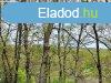 Elad telek rd, 	Parkvrosban