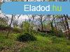 Elad telek rd, 	Parkvrosban