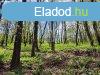 Elad telek rd, 	Parkvrosban