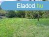 Elad telek Sukor, 	Panorms telek