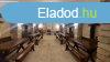 Elad vendglt Trnok, 	Trnok reghegy