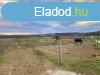 Elad fldterlet Mogyord, 	Fti Somly mellett!