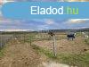 Elad fldterlet Mogyord, 	Fti Somly mellett!