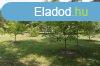 Elad telek Grdony, 	Trsashz ptshez