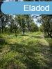 Elad fldterlet Pomz, 	Dolinai t
