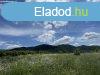 Elad telek Budakeszi, 	Nagysznszug