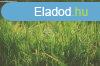 Elad telek Pzmnd, 	Pzmndon a Szeles dlben