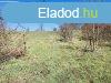Elad fldterlet Budapest, X. kerlet, 	Dorogi utca