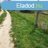 Elad telek Balatonkenese, 	Berek utca