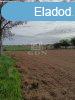 Elad fldterlet Balatonendrd, 	reghegy dl