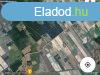 Ruzsn sznt elad | karbontos humuszos himok - Ruzsa