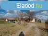 Mezgazdasgi birtok | Zknyszk  -i rszn 12,5 ha fld 