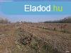 Elad 40000 nm-es Tanya Szatymaz Klterlet 