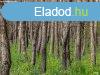 Vgsrett erd elad  | Ruzsa s lls kzt tbb rszletbl