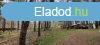 Telephelynek, iparterletnek alkalmas erd elad Pakson!