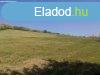 Elad 94 689m2-es Mezgazdasgi terlet, Salgtarjn