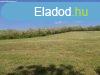Elad 94 689m2-es Mezgazdasgi terlet, Salgtarjn