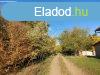 Tizent hektros erd elad Pakson!
