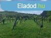 Egerszalk Hfrd dln mvelsi g all kivont, 3114m2-es,