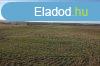 Isaszegen sznt elad