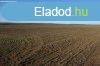 Isaszegen sznt elad