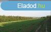 Isaszegen, sznt elad